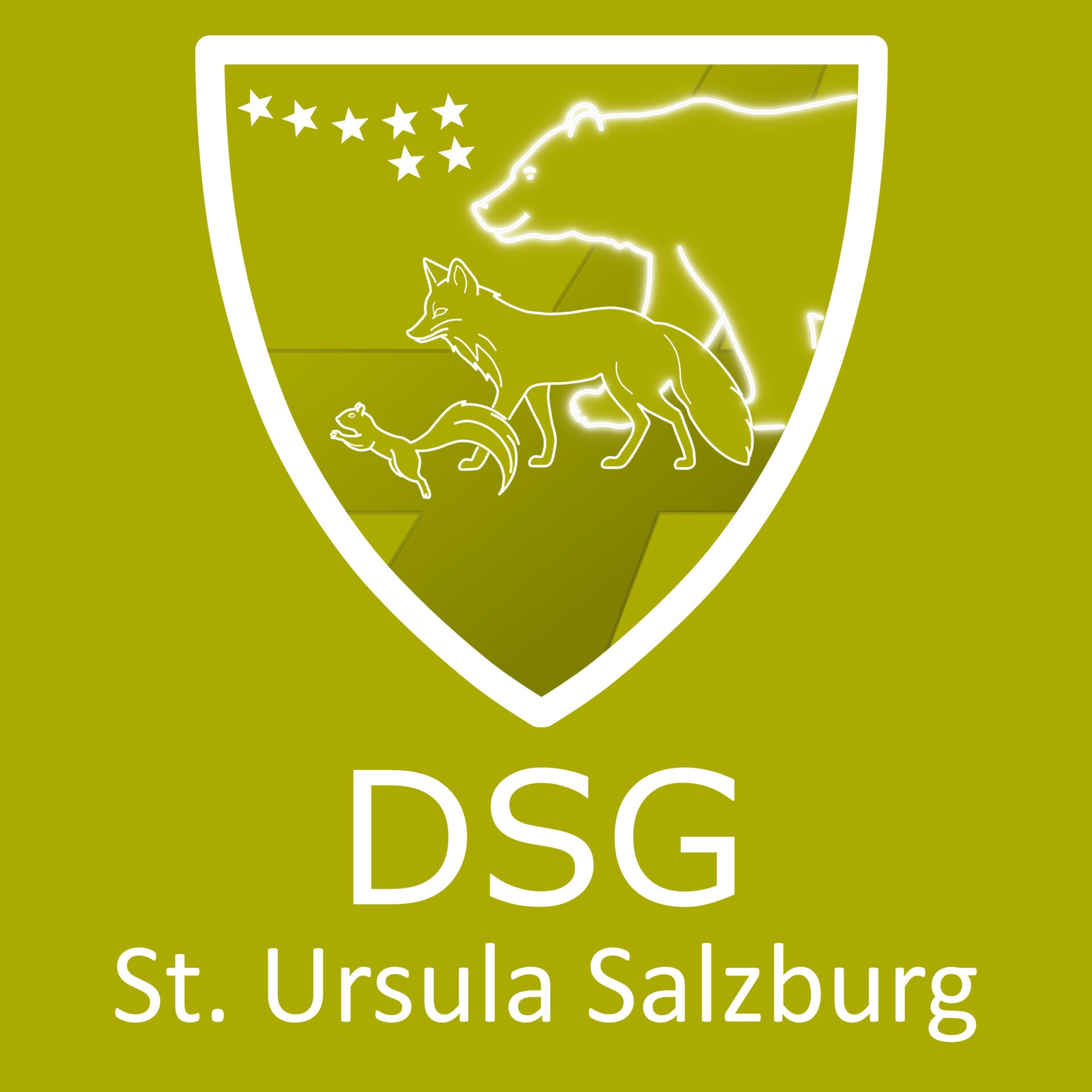 Logo_DSG